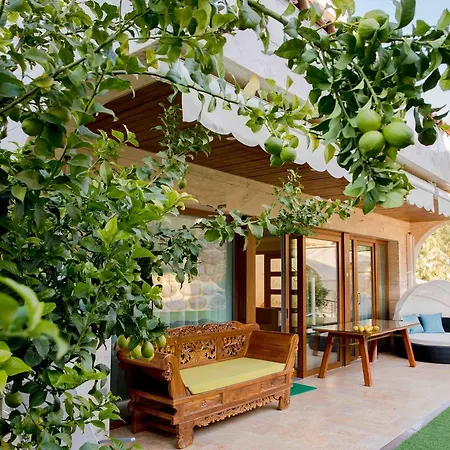 Eco Geo Sol ヴィラ