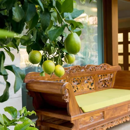 Eco Geo Sol יורט דה מאר